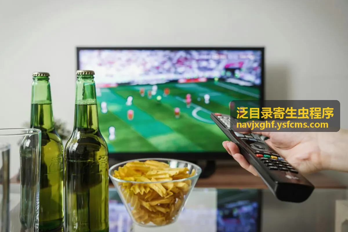 霸屏侠泛目录程序异常目录检查示意